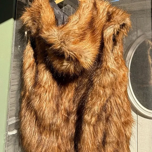 Faux Fur Vest Hoody with Black insulated Lining - Picture 5 of 5